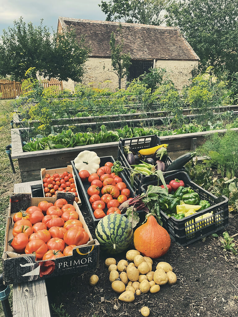 Kert és Majorság Kert és Majorság