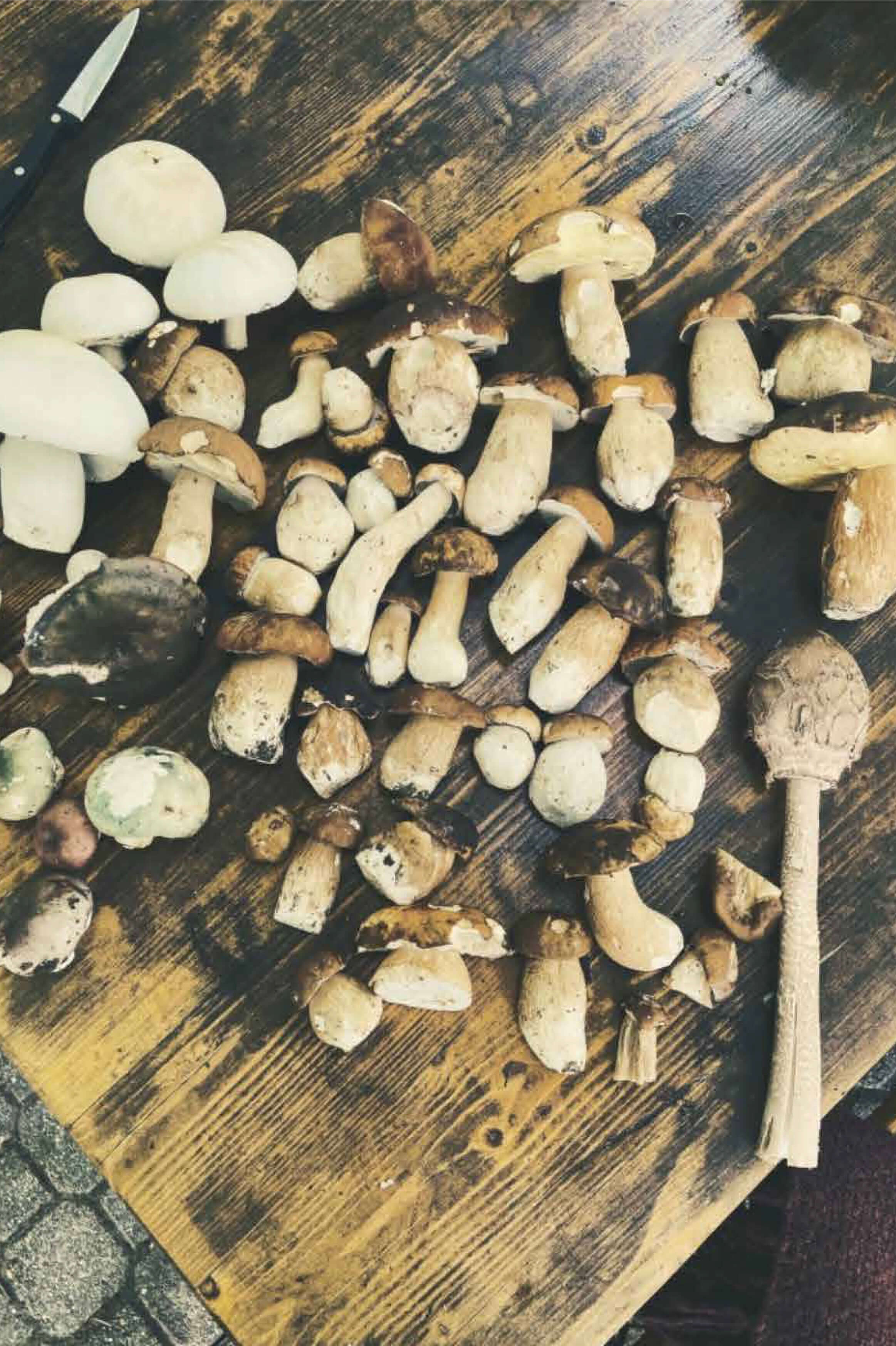 Kert és Majorság Kert és Majorság